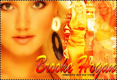 The NEXT big thing is ..... BROOKE HOGAN!
