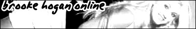 Banner 2 